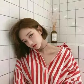 羊与钢之森
